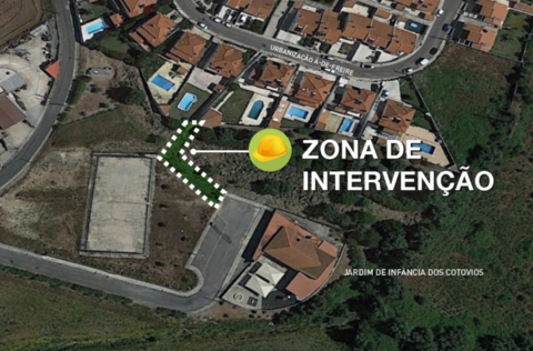 zona_de_intervencao