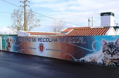 centro_de_recolha_oficial_vfx