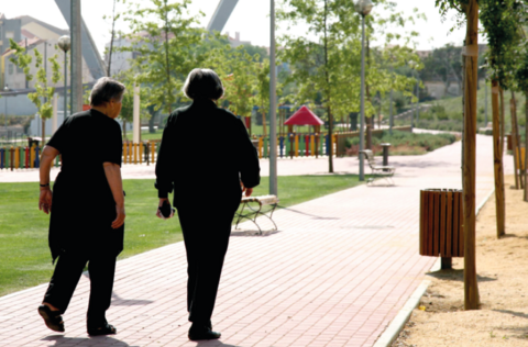 camara_municipal_de_vila_franca_de_xira_assegura_conservacao_e_manutencao_de_espacos_exteriores_n...