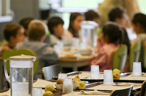refeicoes_escolares