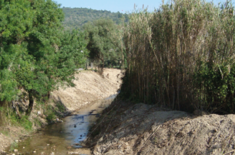 segunda_fase_de_limpeza_de_linhas_de_agua_decorre_ate_novembro__totalizando_98_mil_euros_de_inves...