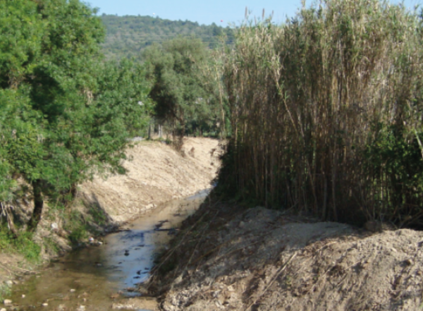 segunda_fase_de_limpeza_de_linhas_de_agua_decorre_ate_novembro__totalizando_98_mil_euros_de_inves...