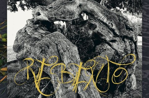 companhia_do_canto_rebento_big_69759