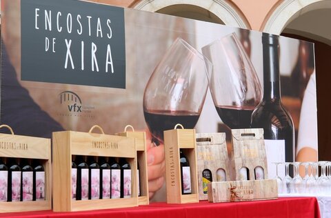 vinhos_e_sabores__4675