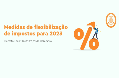logo_flexibilizacao