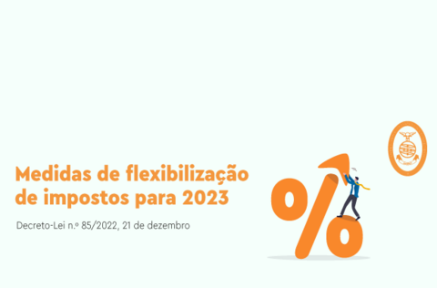logo_flexibilizacao