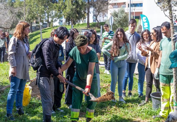 dia_internacional_da_floresta__1_