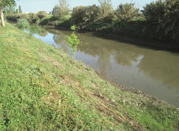 margem_direita_do_rio_grande_da_pipa__na_zona_vala_carregado_1_min