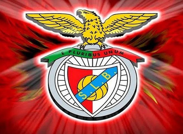 balanco_2018_2019_sport_lisboa_e_benfica_4