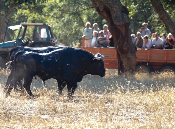 colete_encarnado_visita_campo__toiros_esperas