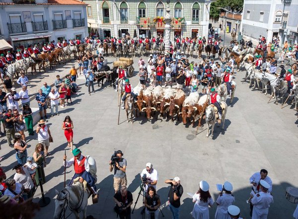 homenagem_ao_campino_e_desfile___is_3774_min_1_2500_2500