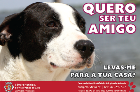 Ecard 01 1 750 2000 1 480 316