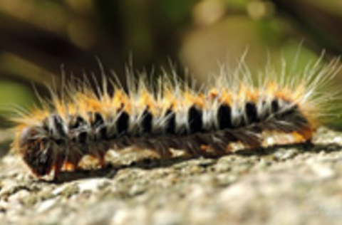 2 1 750 2500 1 750 2000 1 480 316