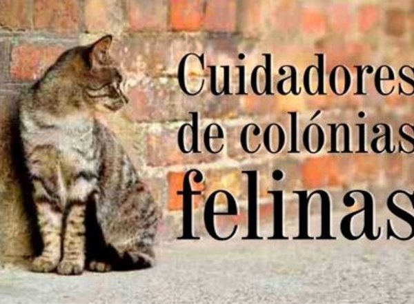 cuidadores_de_colonias_felinas