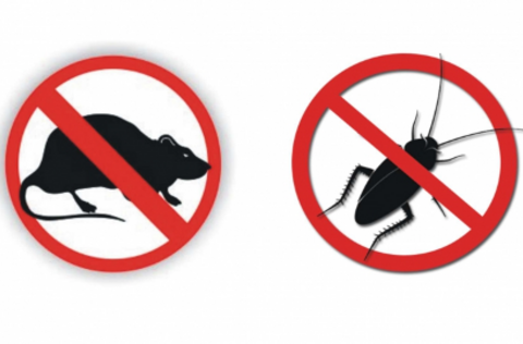 60256458_824781177889230_8446601122331754496_n