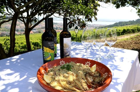 savel_frito_com_acorda_das_suas_ovas