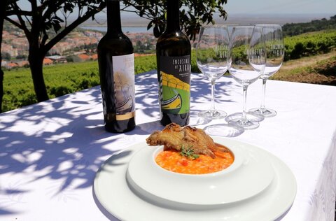 linguadinhos_fritos_com_arroz_malandrinho_de_tomate