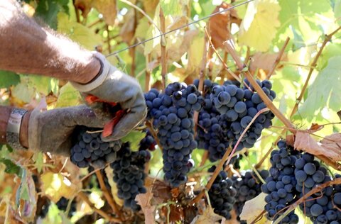 img_6043_h_dias_4_09_2020