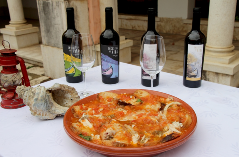 img_3567_h_dias_24_09_2020