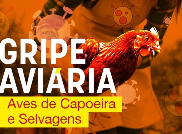 site_gripeaviaria_600x441px