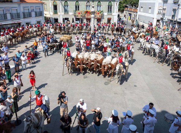 homenagem_ao_campino_e_desfile___is_3774_min_1_2500_2500