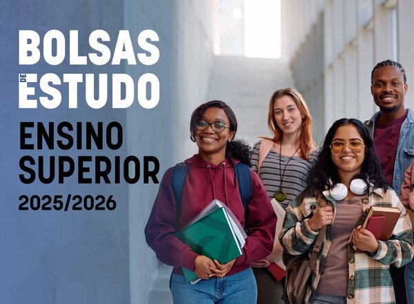 bolsas_2025_600x441px