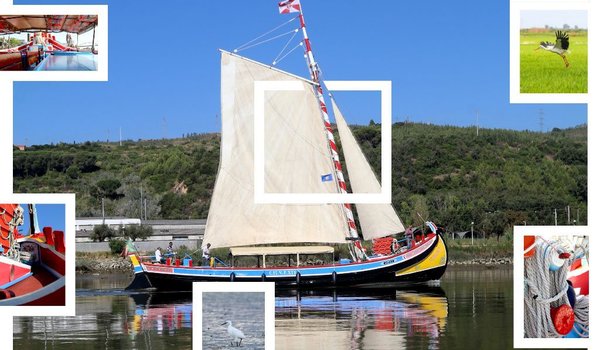 Barco Varino Liberdade