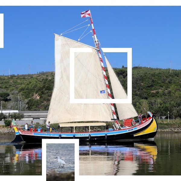 Barco Varino Liberdade