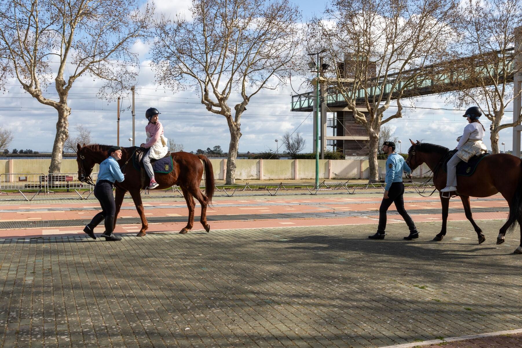 dia_da_protecao_civil___is_268