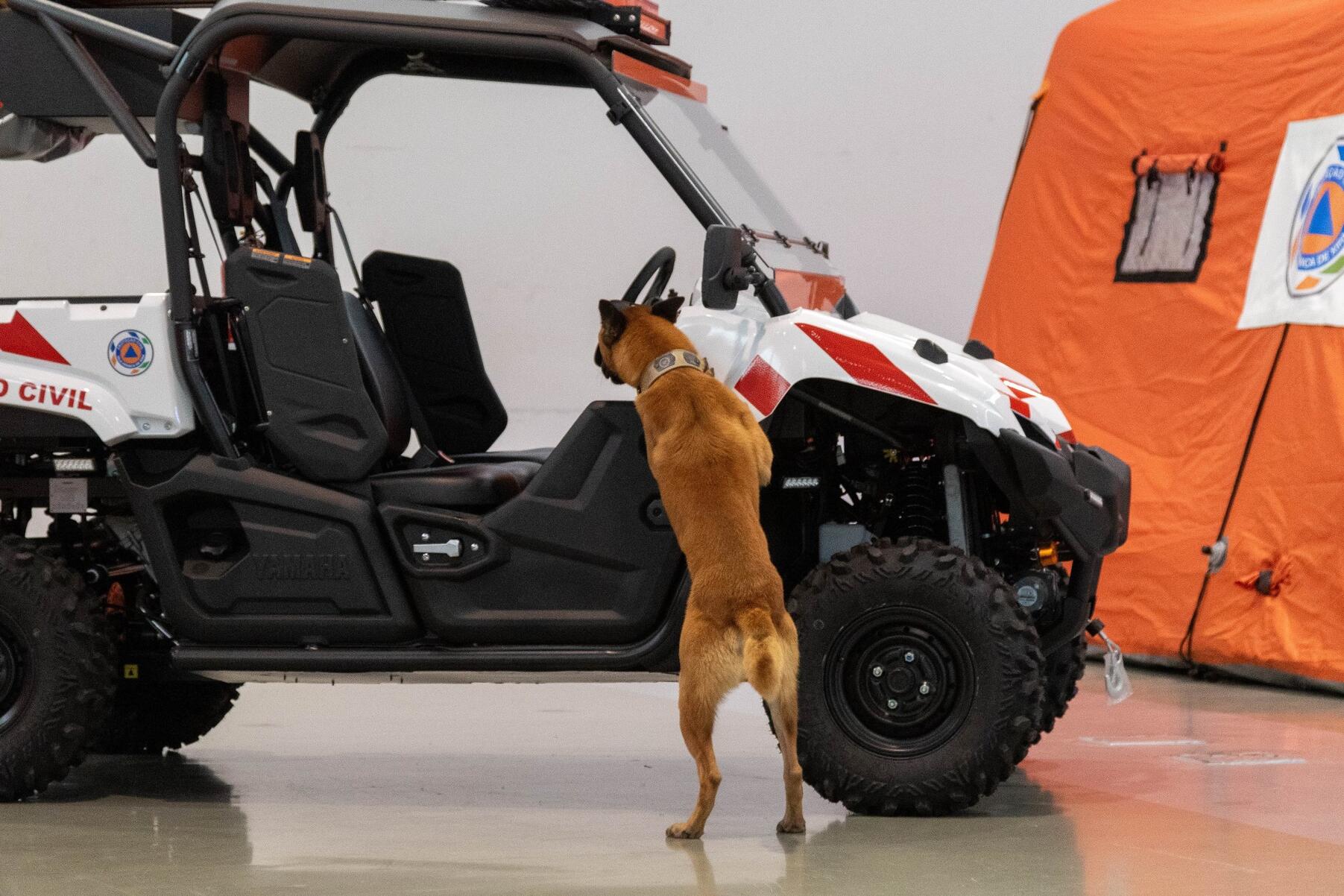 dia_2__protecao_civil___is_51