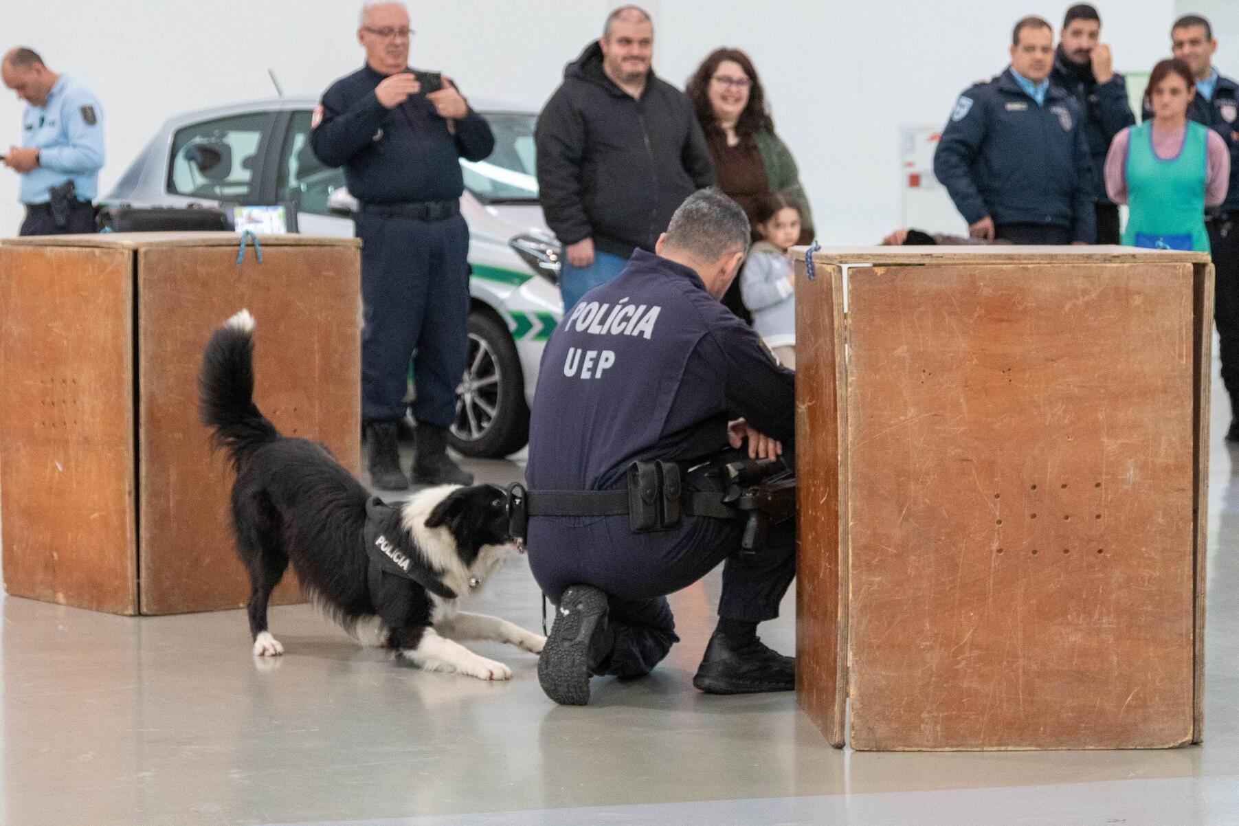 dia_2__protecao_civil___is_89