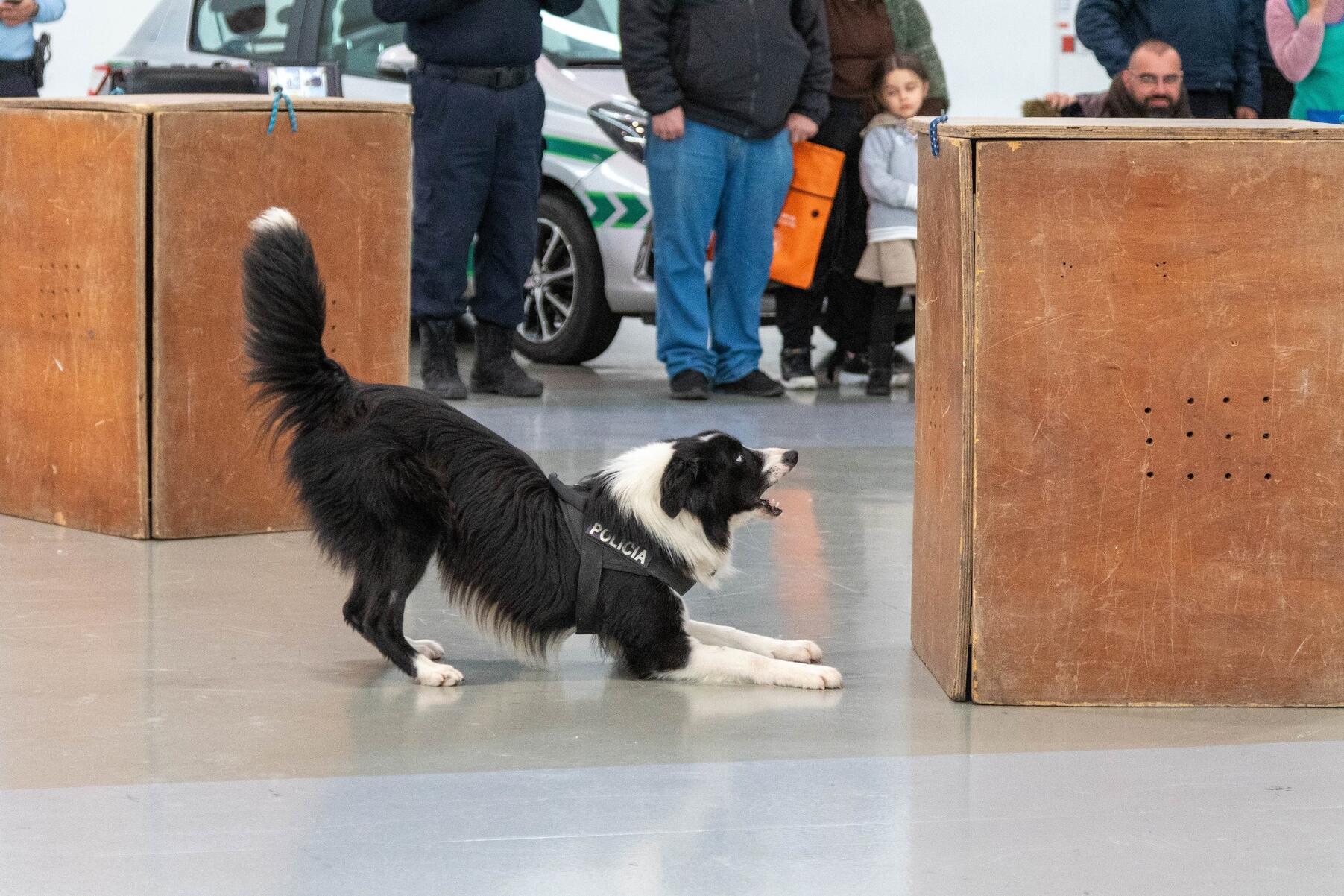 dia_2__protecao_civil___is_103