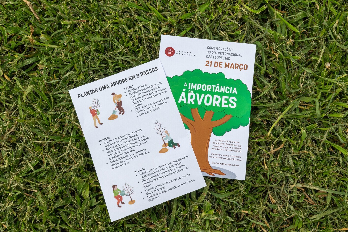dia_internacional_das_florestas___is_35