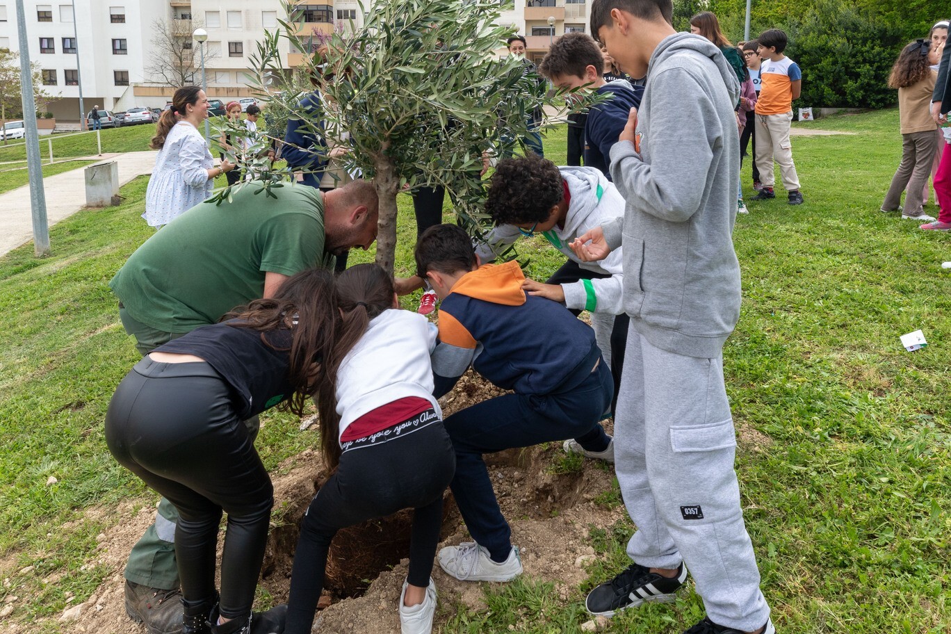dia_internacional_das_florestas___is_55