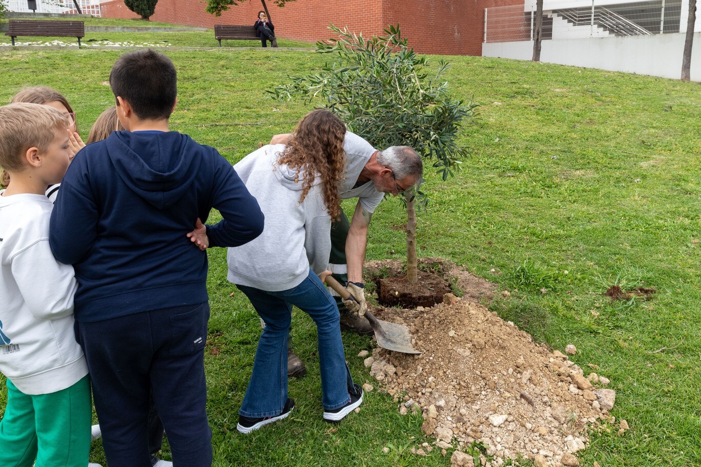 dia_internacional_das_florestas___is_70