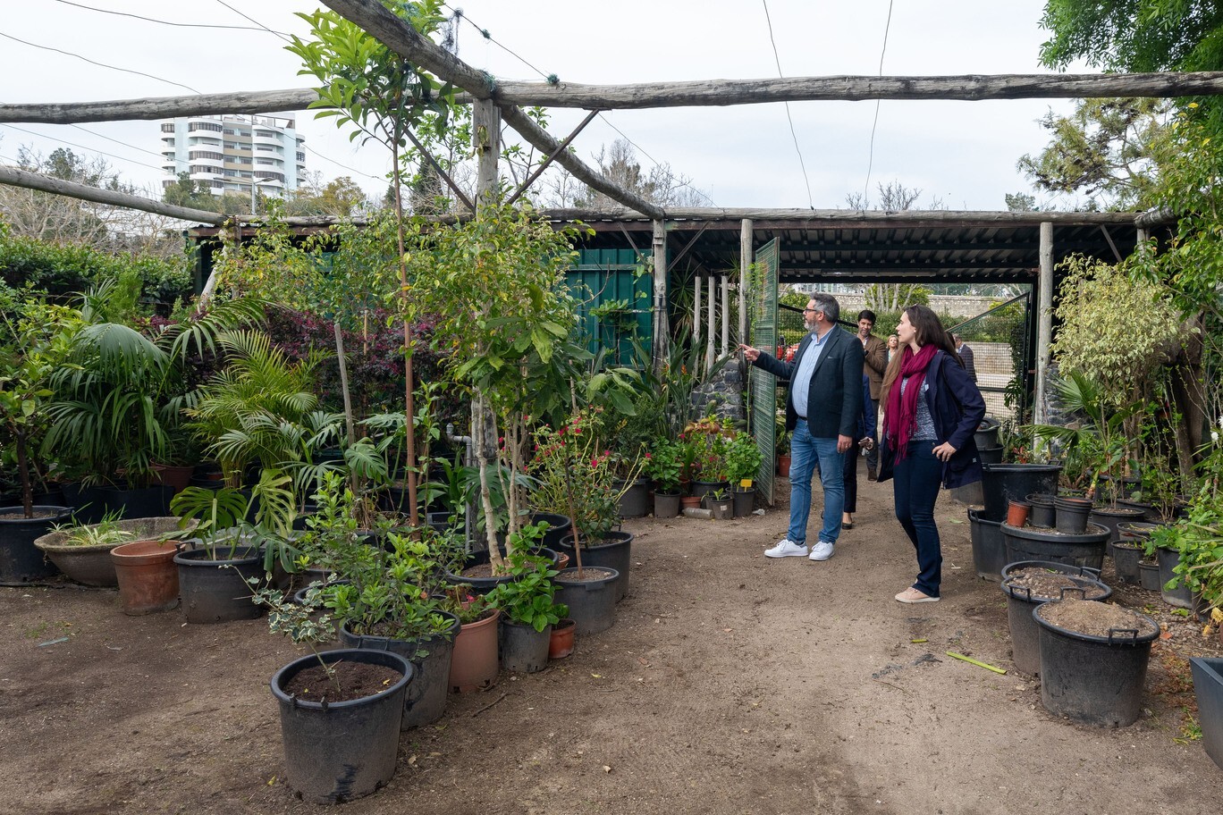 dia_internacional_das_florestas___is_79