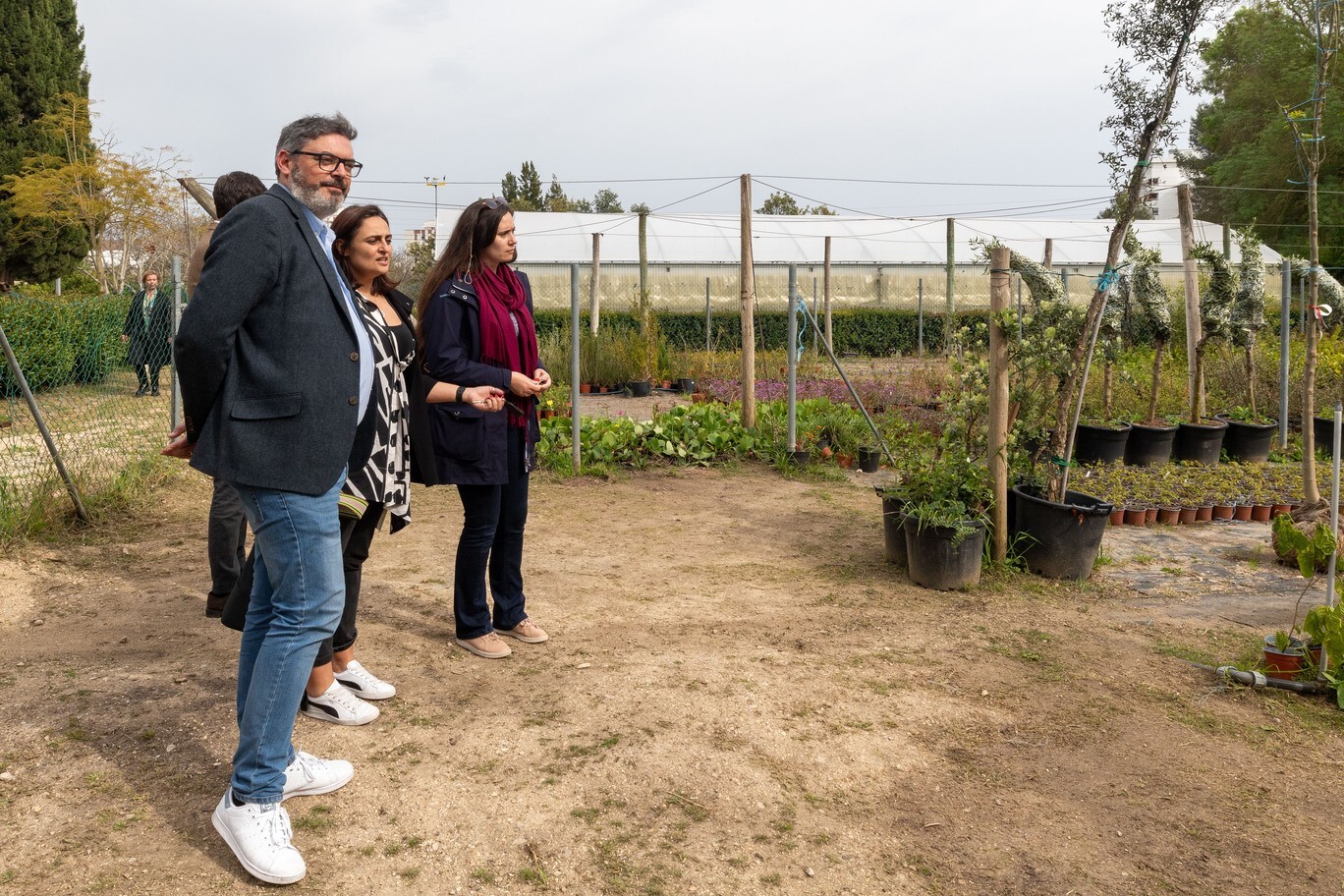 dia_internacional_das_florestas___is_108