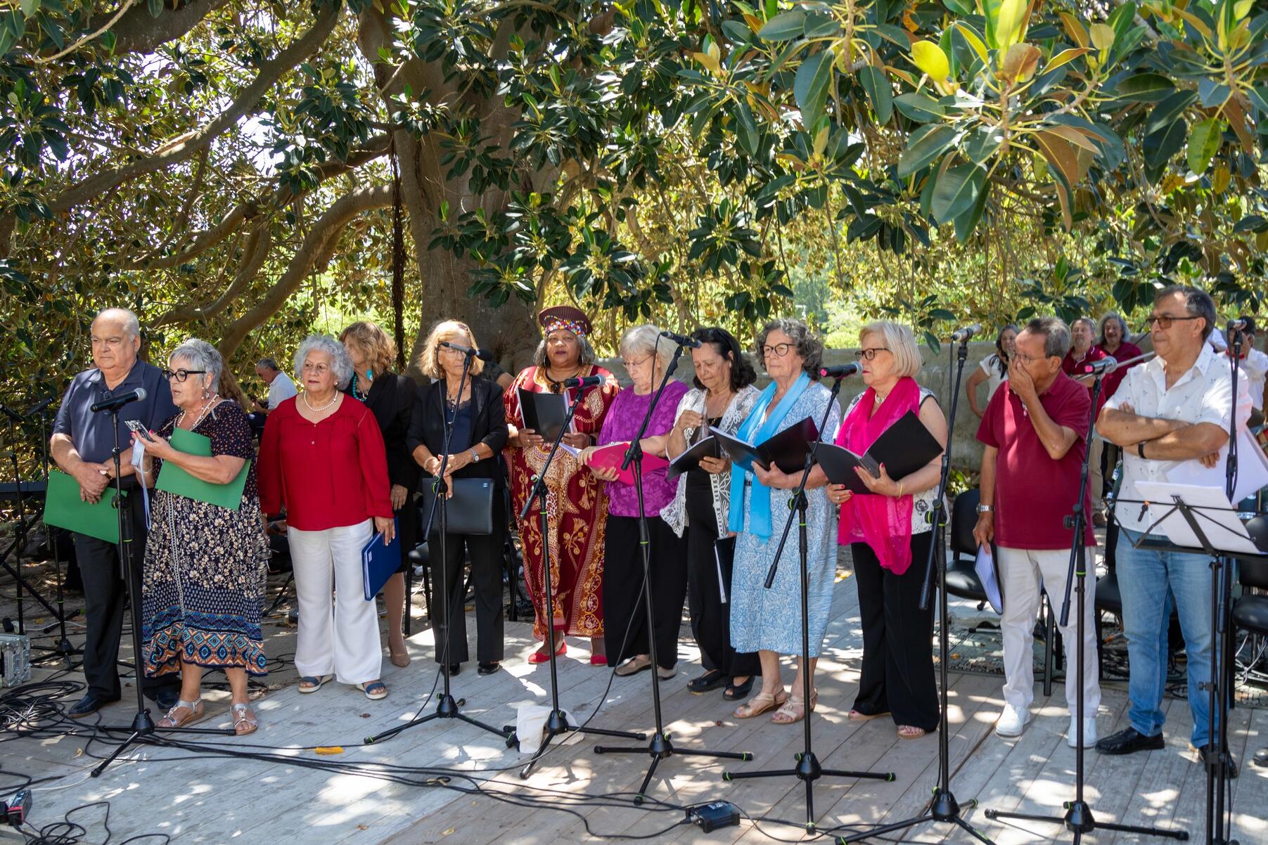 53789111903_c4e858bb20_o