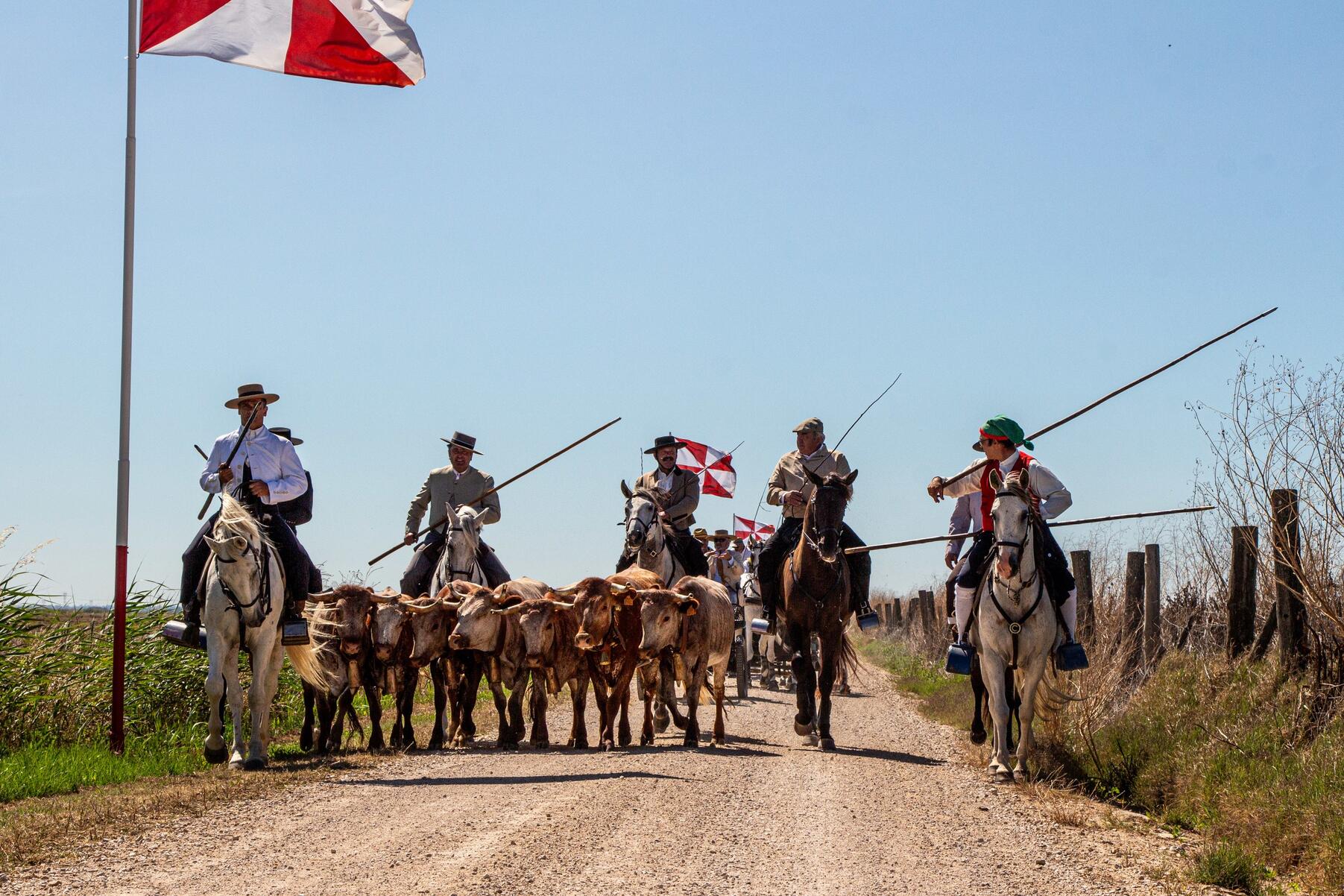 romaria_alcame_24_an_4236