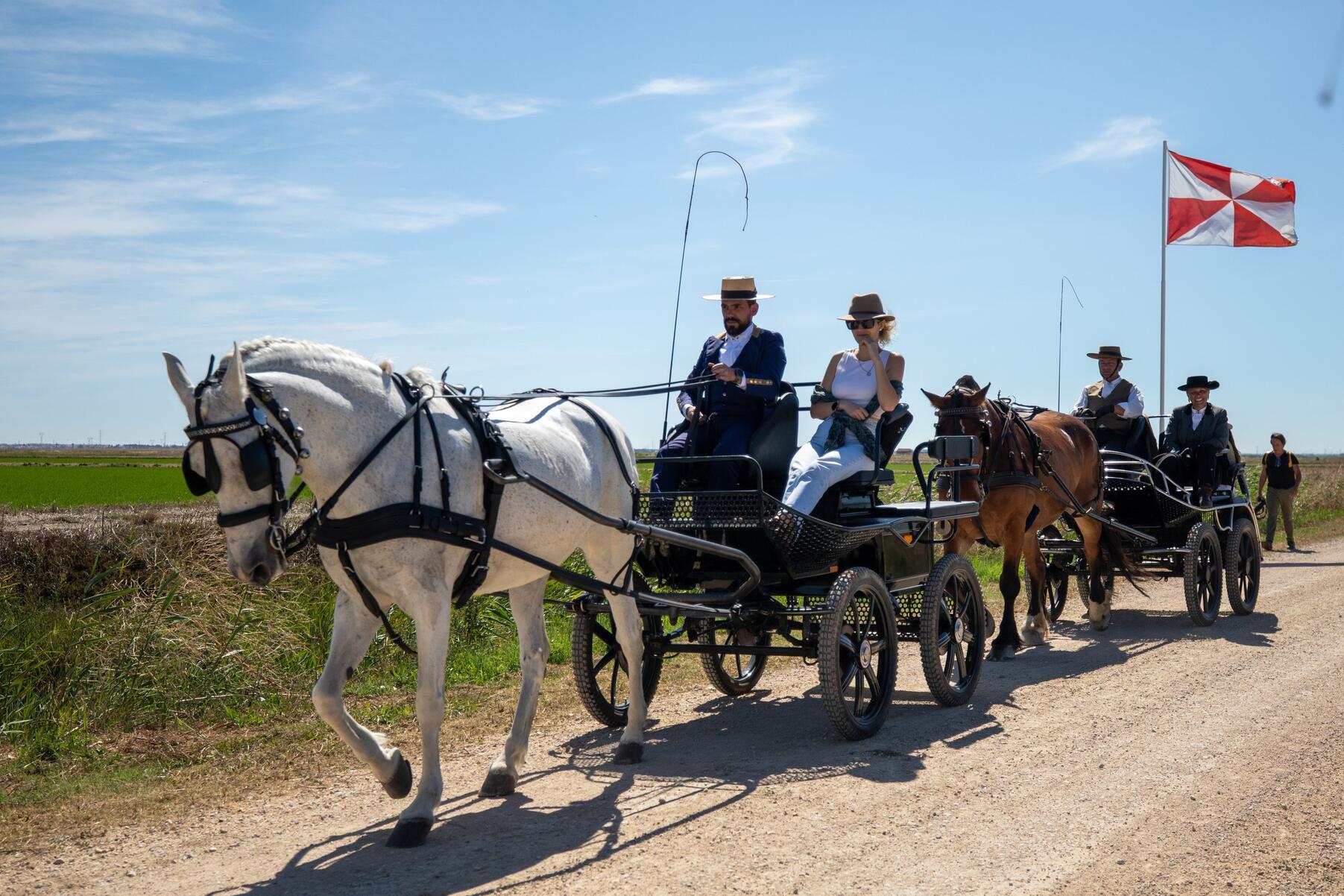 romaria_alcame_24_as_3764