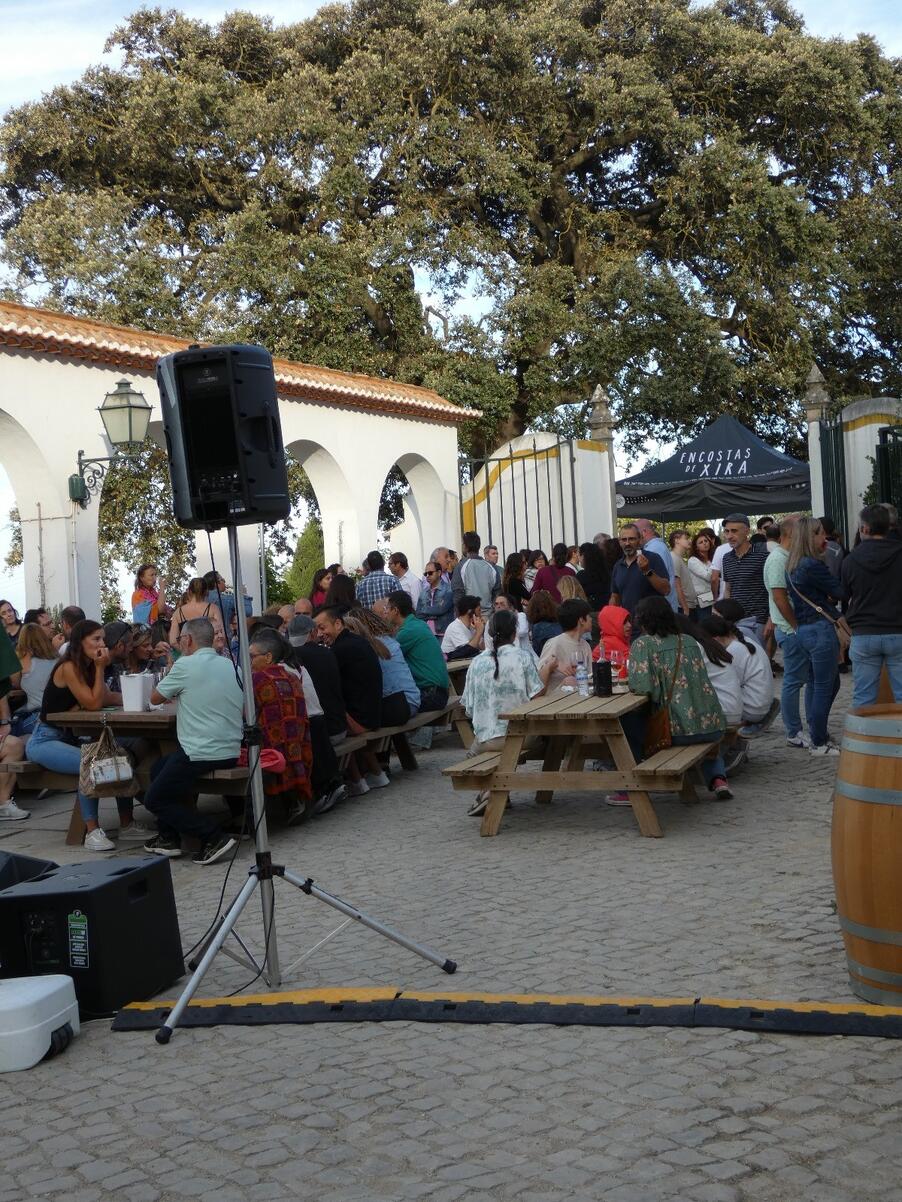 encostas_de_xira_sunset_1