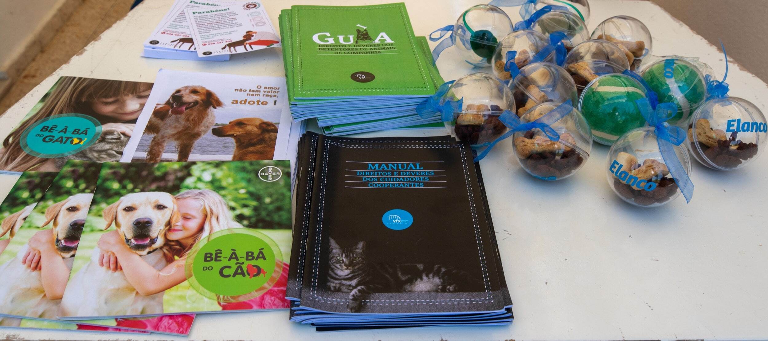 dia_internacional_do_animal_sem_abrigo_tarde_aberta_no_cro_23_mm_0160_min