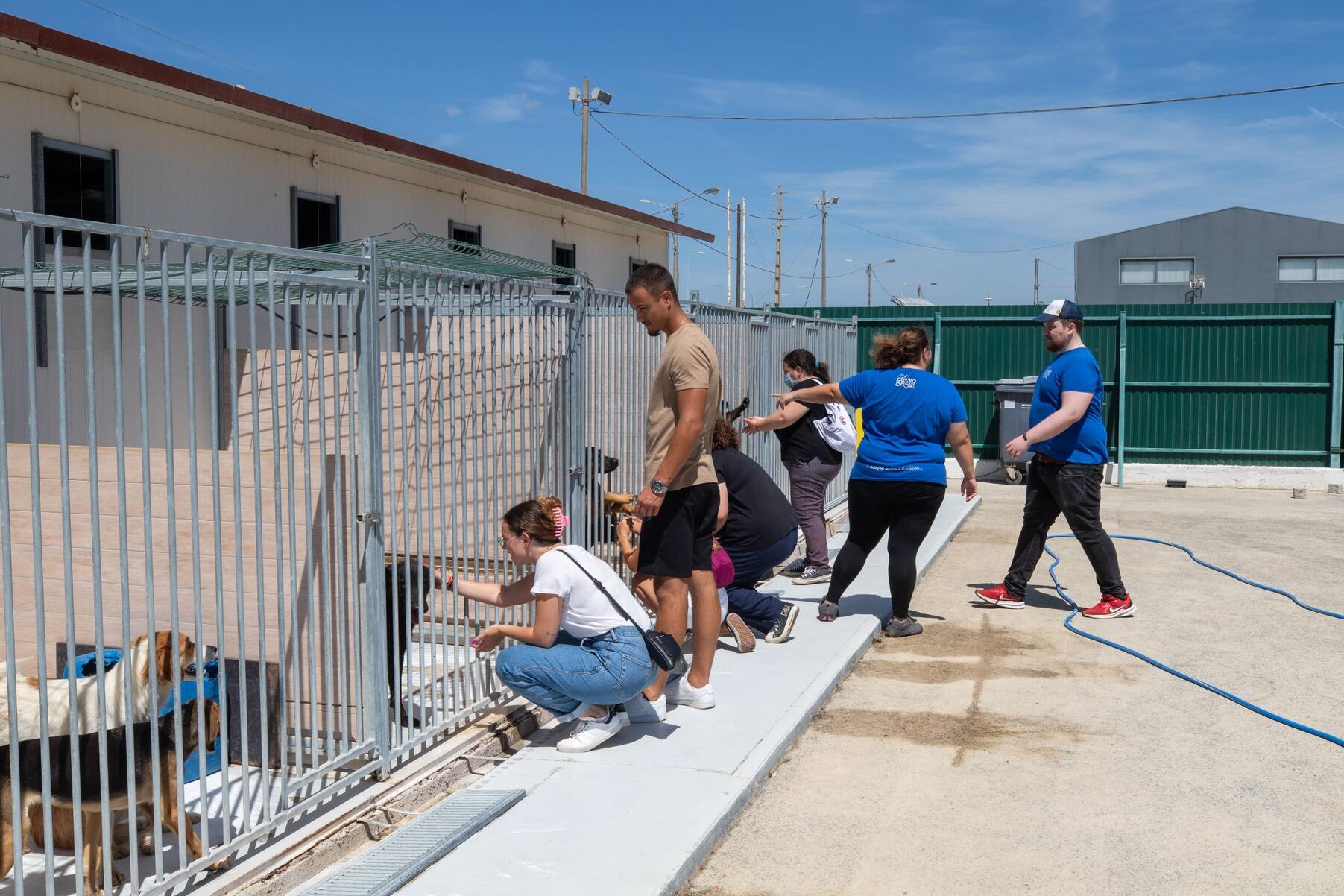 dia_internacional_do_animal_sem_abrigo_tarde_aberta_no_cro_23_mm_0178_min