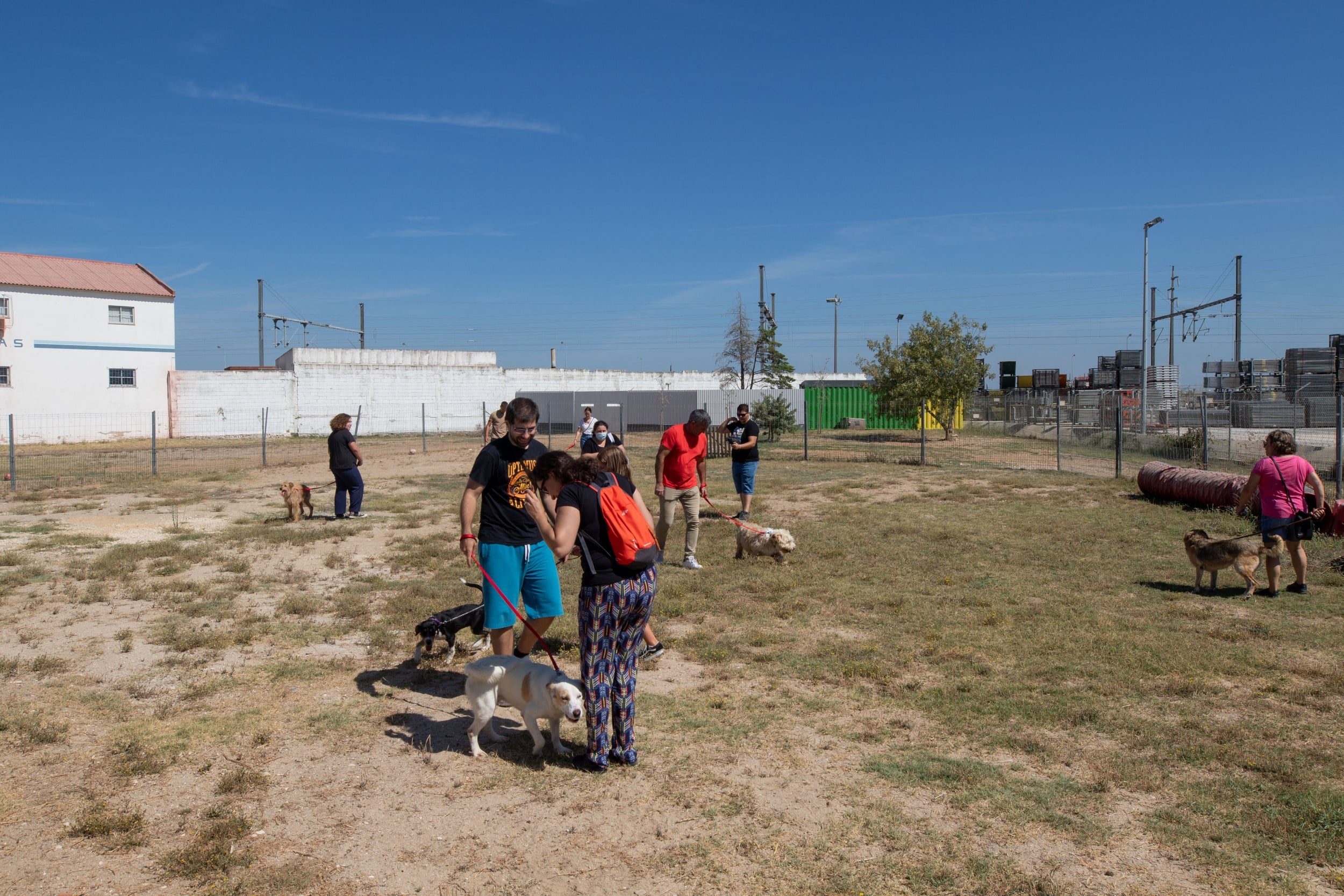 dia_internacional_do_animal_sem_abrigo_tarde_aberta_no_cro_23_mm_0297_min