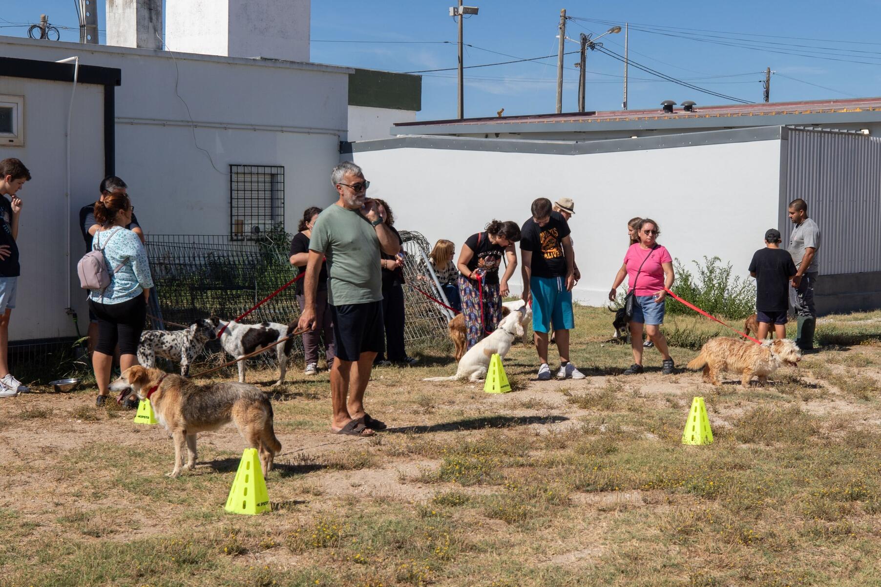 dia_internacional_do_animal_sem_abrigo_tarde_aberta_no_cro_23_mm_0383_min