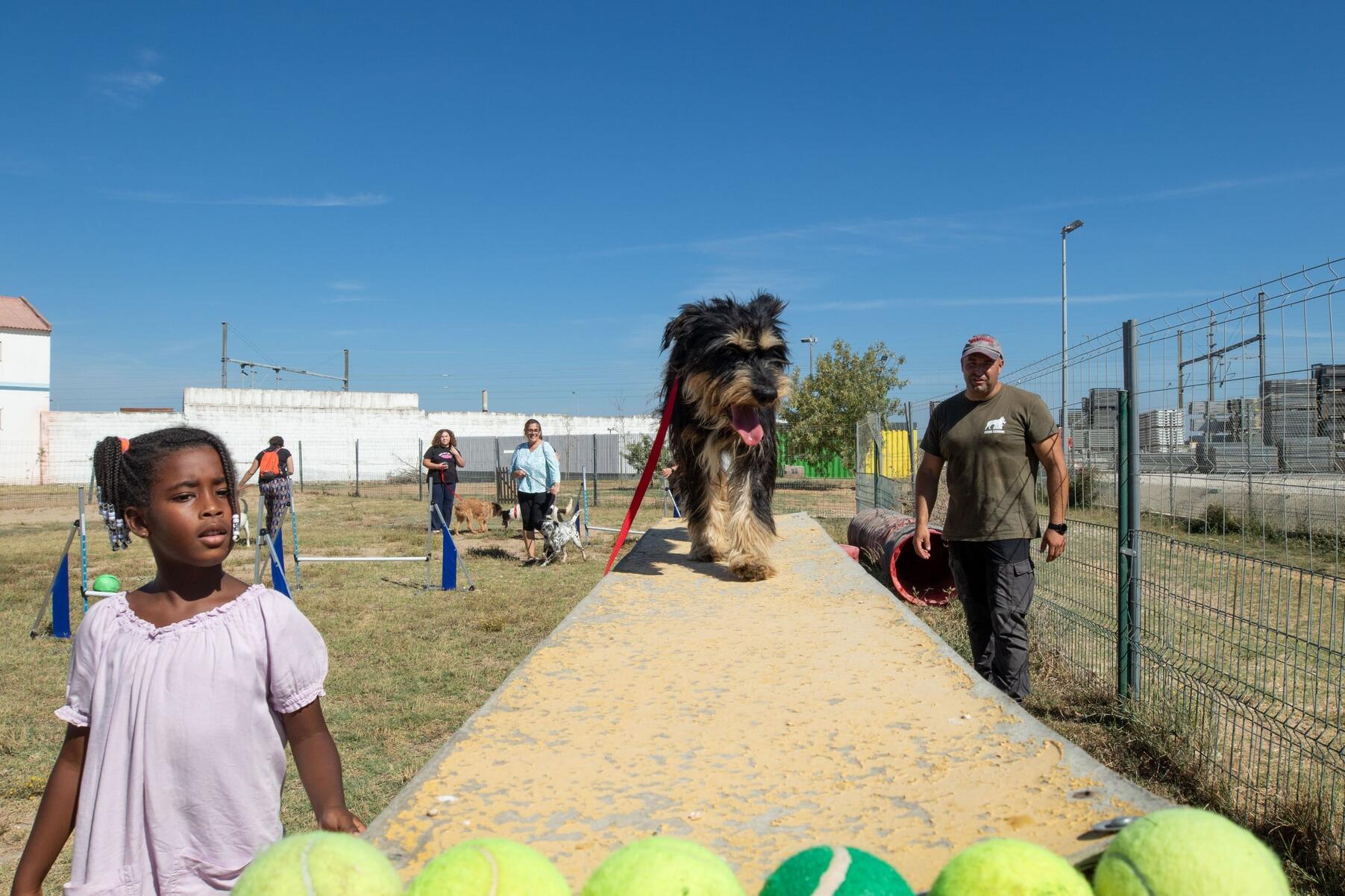 dia_internacional_do_animal_sem_abrigo_tarde_aberta_no_cro_23_mm_0395_min
