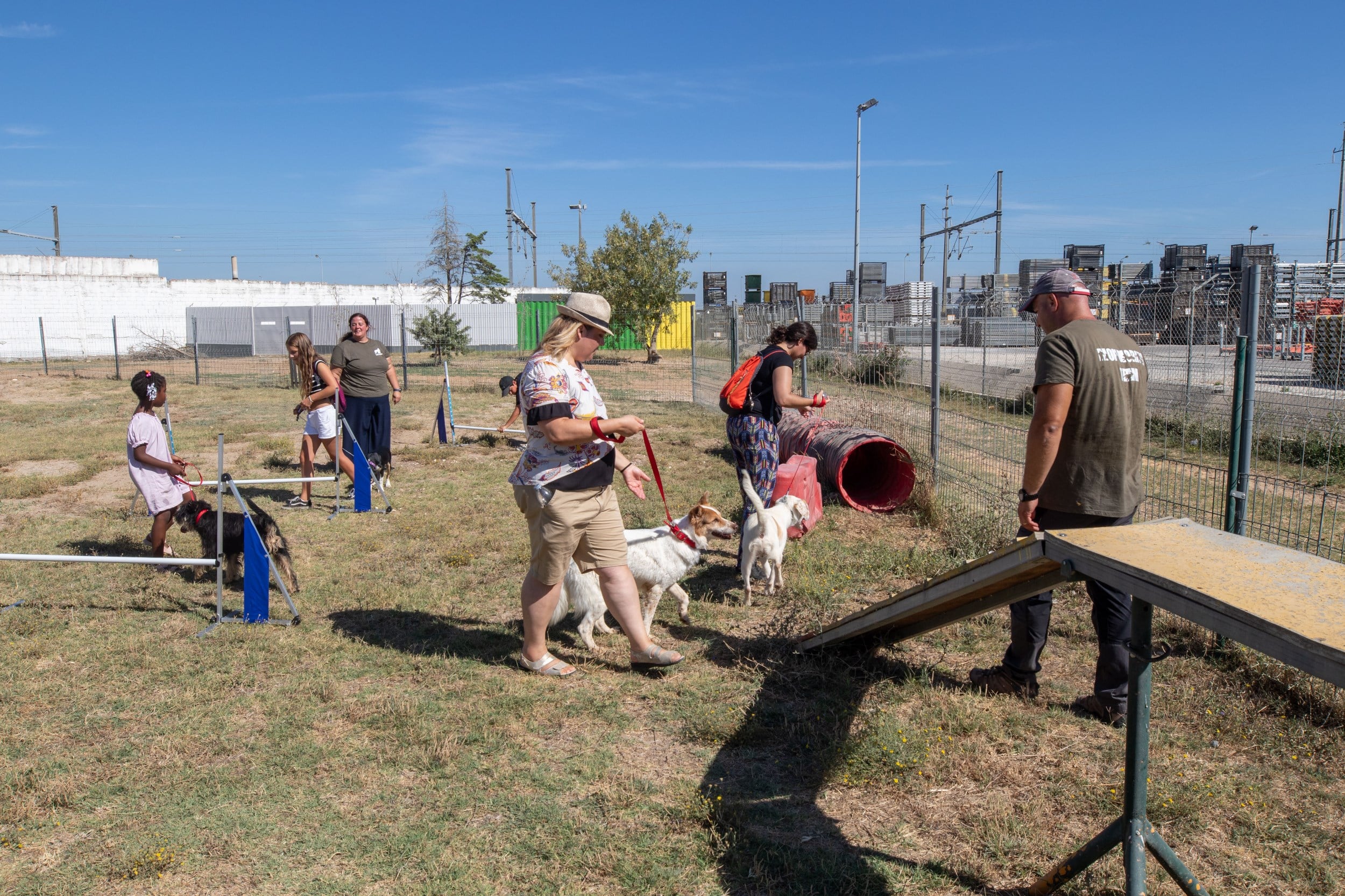 dia_internacional_do_animal_sem_abrigo_tarde_aberta_no_cro_23_mm_0422_min