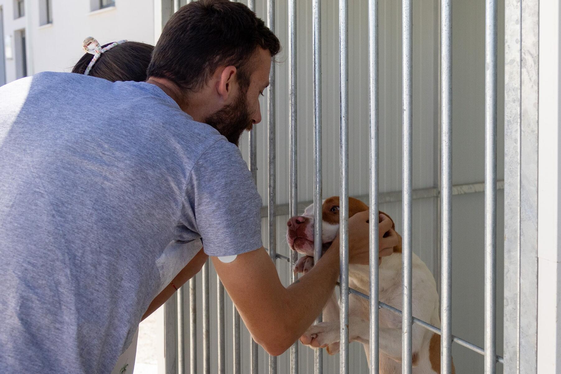 tarde_aberta_no_cro___is_2919_min