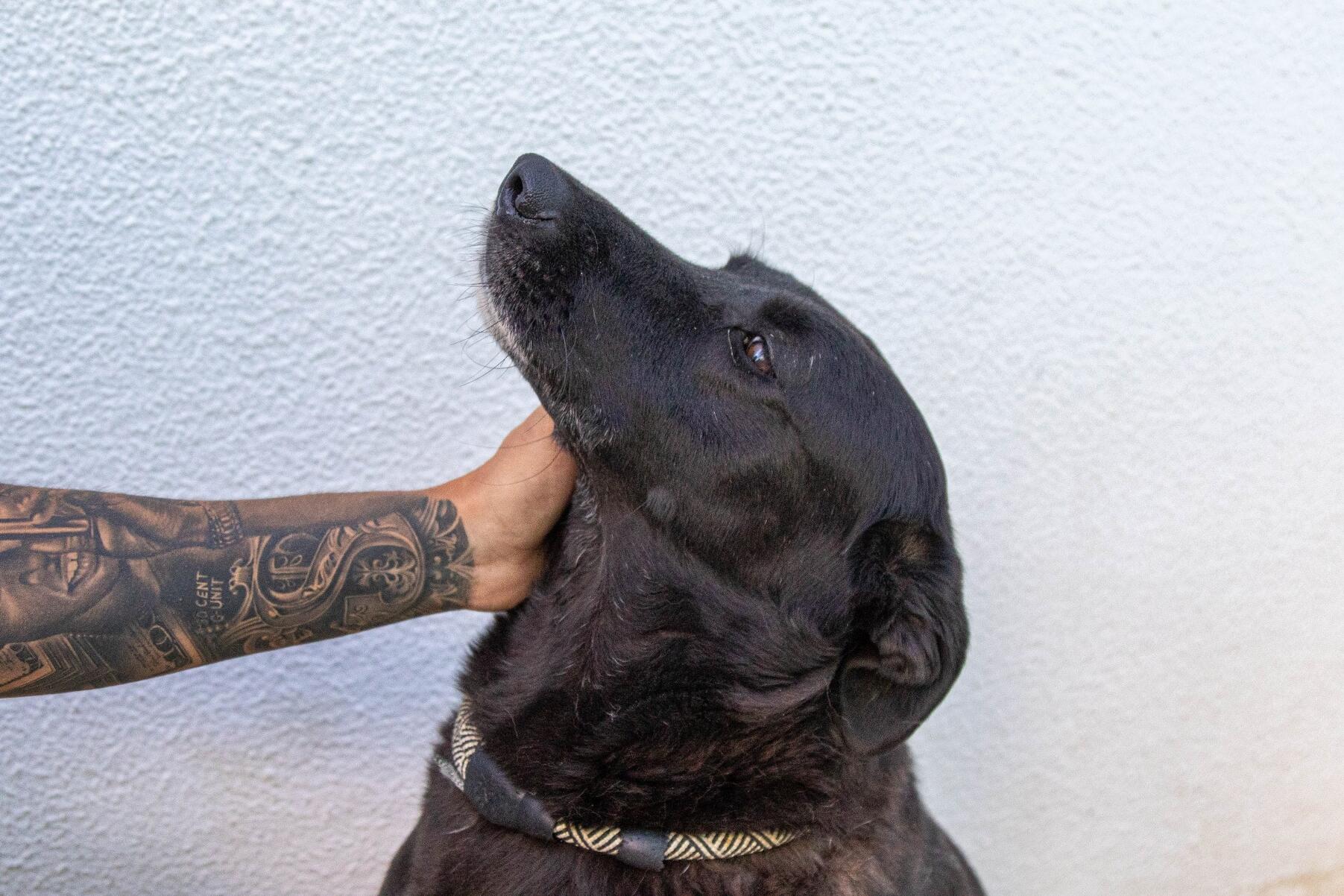 620094100232665_f___is_2350_min