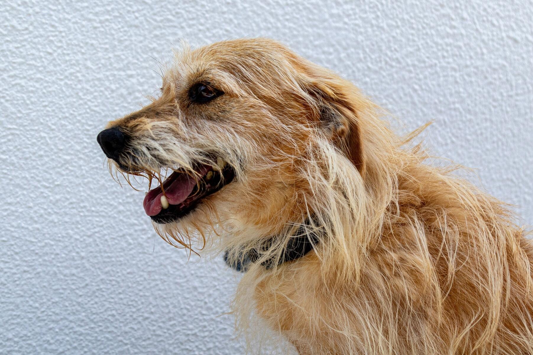 620094100235191_m___is_3163_min